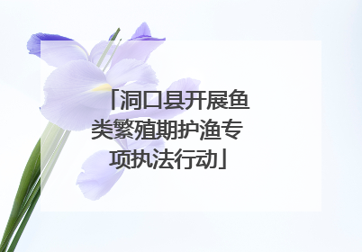 洞口县开展鱼类繁殖期护渔专项执法行动