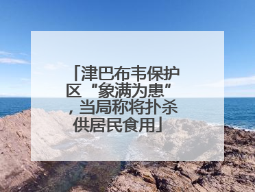 津巴布韦保护区“象满为患”，当局称将扑杀供居民食用