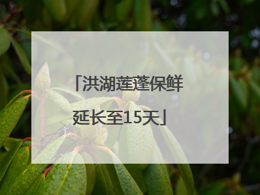 洪湖莲蓬保鲜延长至15天