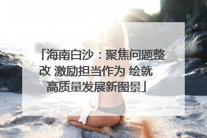 海南白沙：聚焦问题整改 激励担当作为 绘就高质量发展新图景