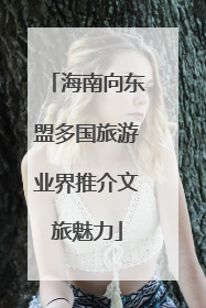 海南向东盟多国旅游业界推介文旅魅力