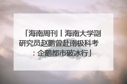 海南周刊丨海南大学副研究员赵鹏曾赴南极科考：企鹅都市破冰行