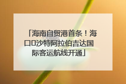 海南自贸港首条！海口⇌沙特阿拉伯吉达国际客运航线开通