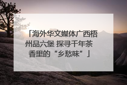 海外华文媒体广西梧州品六堡 探寻千年茶香里的“乡愁味”