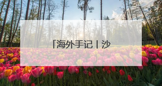 海外手记丨沙漠与海洋：阿联酋的多元脉动