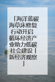 海洋蓝碳海草床修复行动开启 循环经济产业助力低碳社会建设丨新经济观察