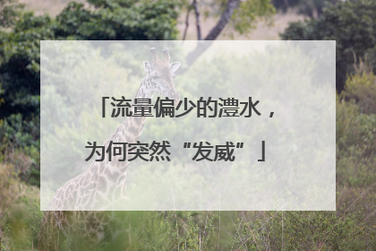 流量偏少的澧水，为何突然“发威”