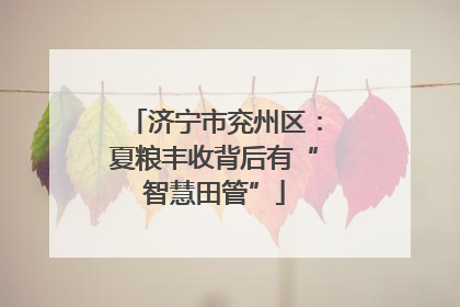 济宁市兖州区：夏粮丰收背后有“智慧田管”