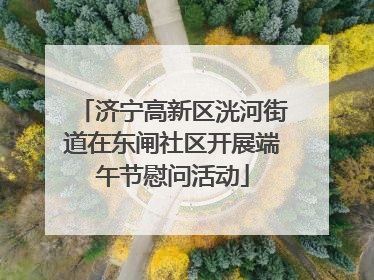 济宁高新区洸河街道在东闸社区开展端午节慰问活动