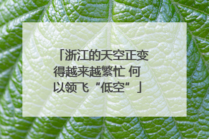 浙江的天空正变得越来越繁忙 何以领飞“低空”