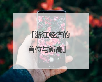 浙江经济的首位与新高