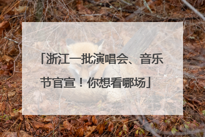 浙江一批演唱会、音乐节官宣！你想看哪场