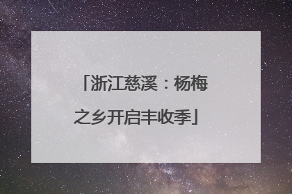浙江慈溪：杨梅之乡开启丰收季
