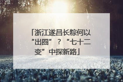 浙江遂昌长粽何以“出圈”？“七十二变”中探新路