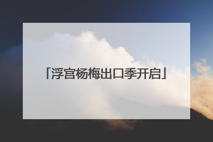 浮宫杨梅出口季开启