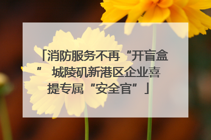 消防服务不再“开盲盒” 城陵矶新港区企业喜提专属“安全官”