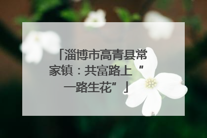 淄博市高青县常家镇：共富路上“一路生花”