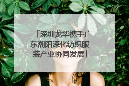 深圳龙华携手广东潮阳深化纺织服装产业协同发展