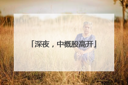 深夜，中概股高开