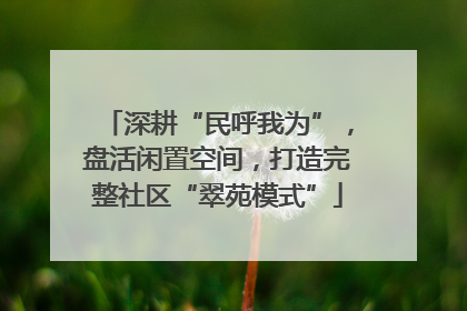 深耕“民呼我为”，盘活闲置空间，打造完整社区“翠苑模式”