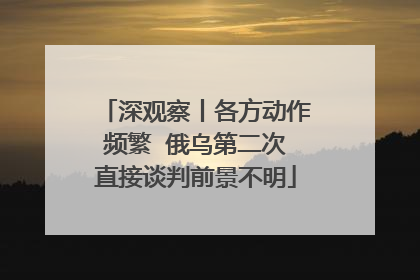 深观察丨各方动作频繁  俄乌第二次直接谈判前景不明