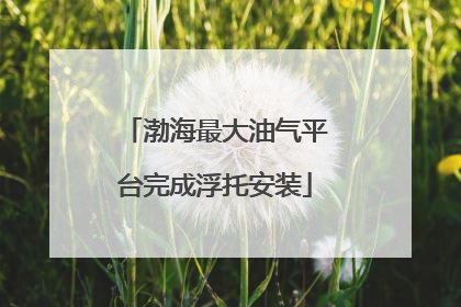 渤海最大油气平台完成浮托安装