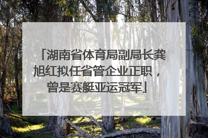 湖南省体育局副局长龚旭红拟任省管企业正职，曾是赛艇亚运冠军