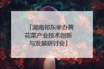 湖南祁东举办黄花菜产业技术创新与发展研讨会