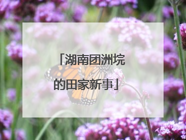 湖南团洲垸的田家新事