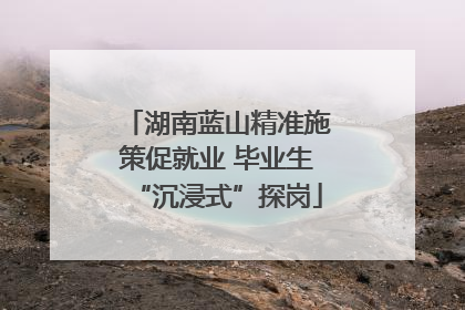 湖南蓝山精准施策促就业 毕业生“沉浸式”探岗