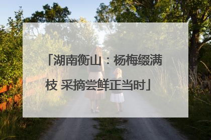 湖南衡山：杨梅缀满枝 采摘尝鲜正当时
