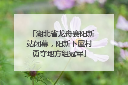 湖北省龙舟赛阳新站闭幕，阳新下屋村勇夺地方组冠军