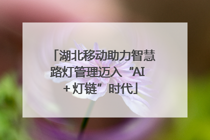 湖北移动助力智慧路灯管理迈入“AI＋灯链”时代