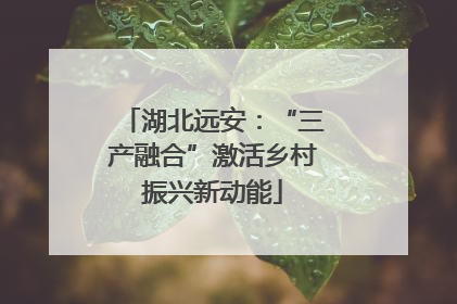 湖北远安：“三产融合”激活乡村振兴新动能