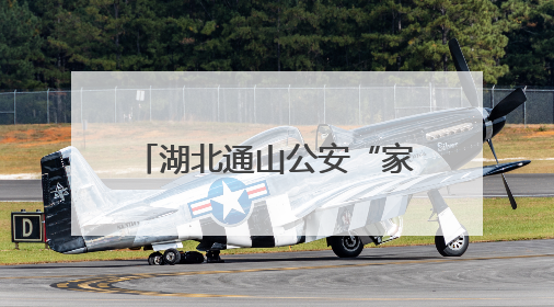湖北通山公安“家+智慧”改革推进政务服务提质增效