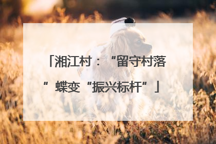 湘江村：“留守村落”蝶变“振兴标杆”