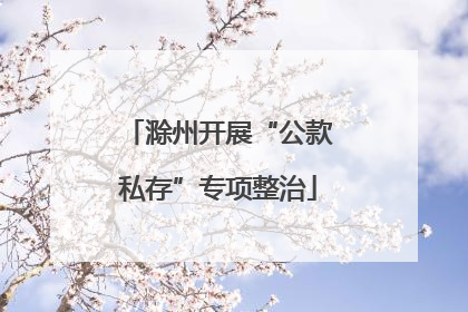 滁州开展“公款私存”专项整治