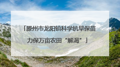 滕州市龙阳镇科学抗旱保苗 力保万亩农田“解渴”