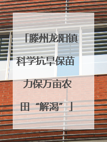 滕州龙阳镇科学抗旱保苗 力保万亩农田“解渴”