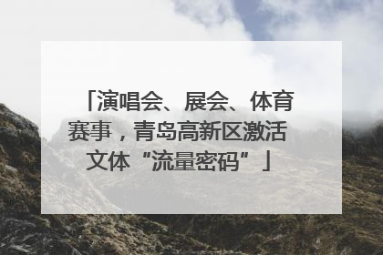 演唱会、展会、体育赛事，青岛高新区激活文体“流量密码”