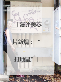 漫评美芯片新规：“打地鼠”