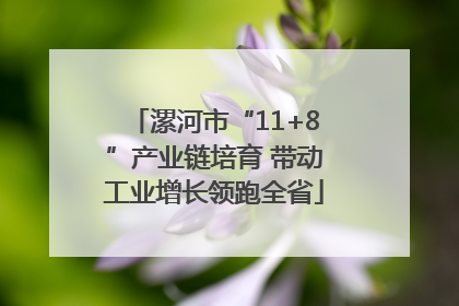 漯河市“11+8”产业链培育 带动工业增长领跑全省