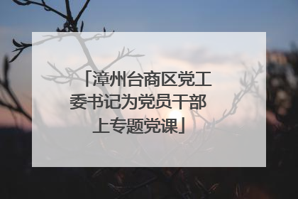 漳州台商区党工委书记为党员干部上专题党课