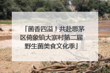 菌香四溢！共赴思茅区倚象镇大寨村第二届野生菌美食文化季