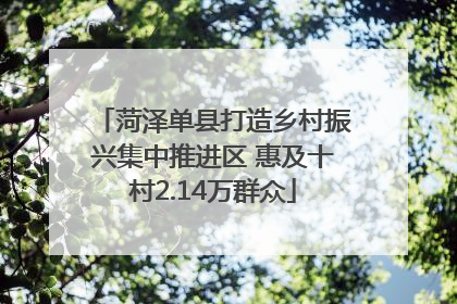 菏泽单县打造乡村振兴集中推进区 惠及十村2.14万群众