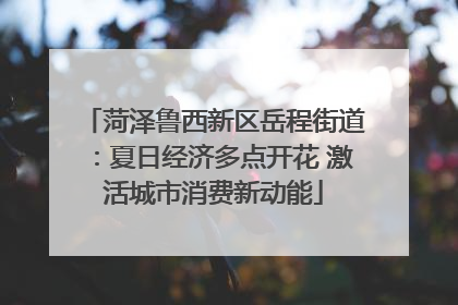 菏泽鲁西新区岳程街道：夏日经济多点开花 激活城市消费新动能