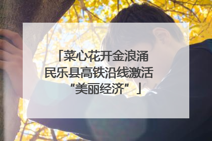 菜心花开金浪涌 民乐县高铁沿线激活“美丽经济”