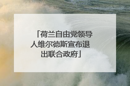 荷兰自由党领导人维尔德斯宣布退出联合政府