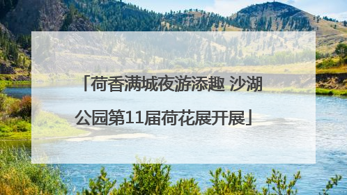 荷香满城夜游添趣 沙湖公园第11届荷花展开展