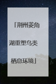 荆州菱角湖重塑鸟类栖息环境